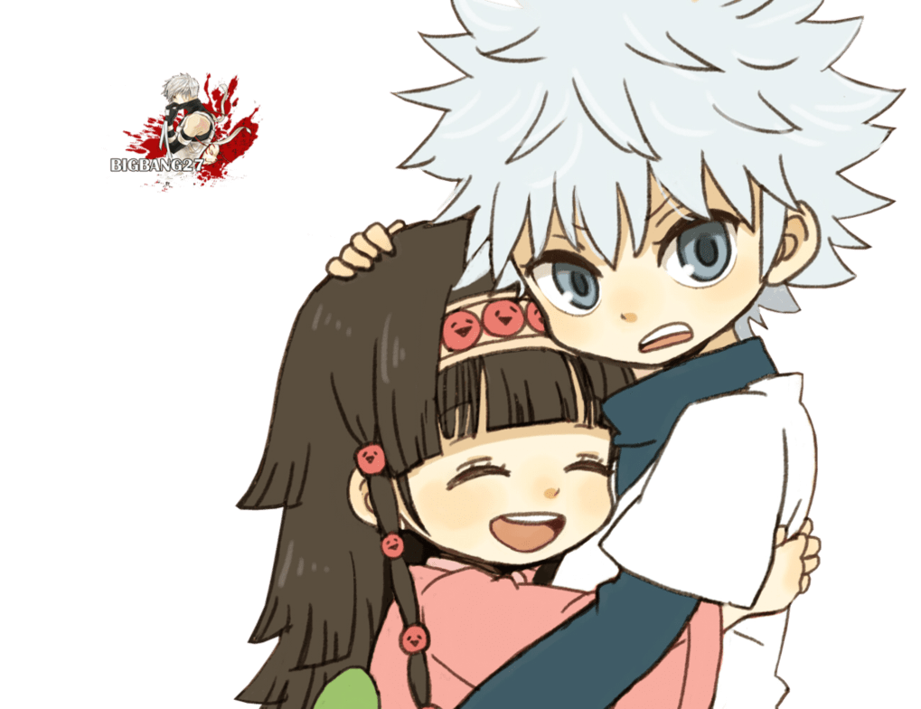 1019x784 Hunter X Hunter Alluka 11 High Resolution Wallpaper