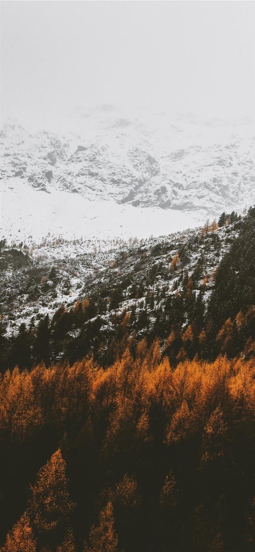 1125x2436 Orange white iPhone 11 Wallpaper Free Download