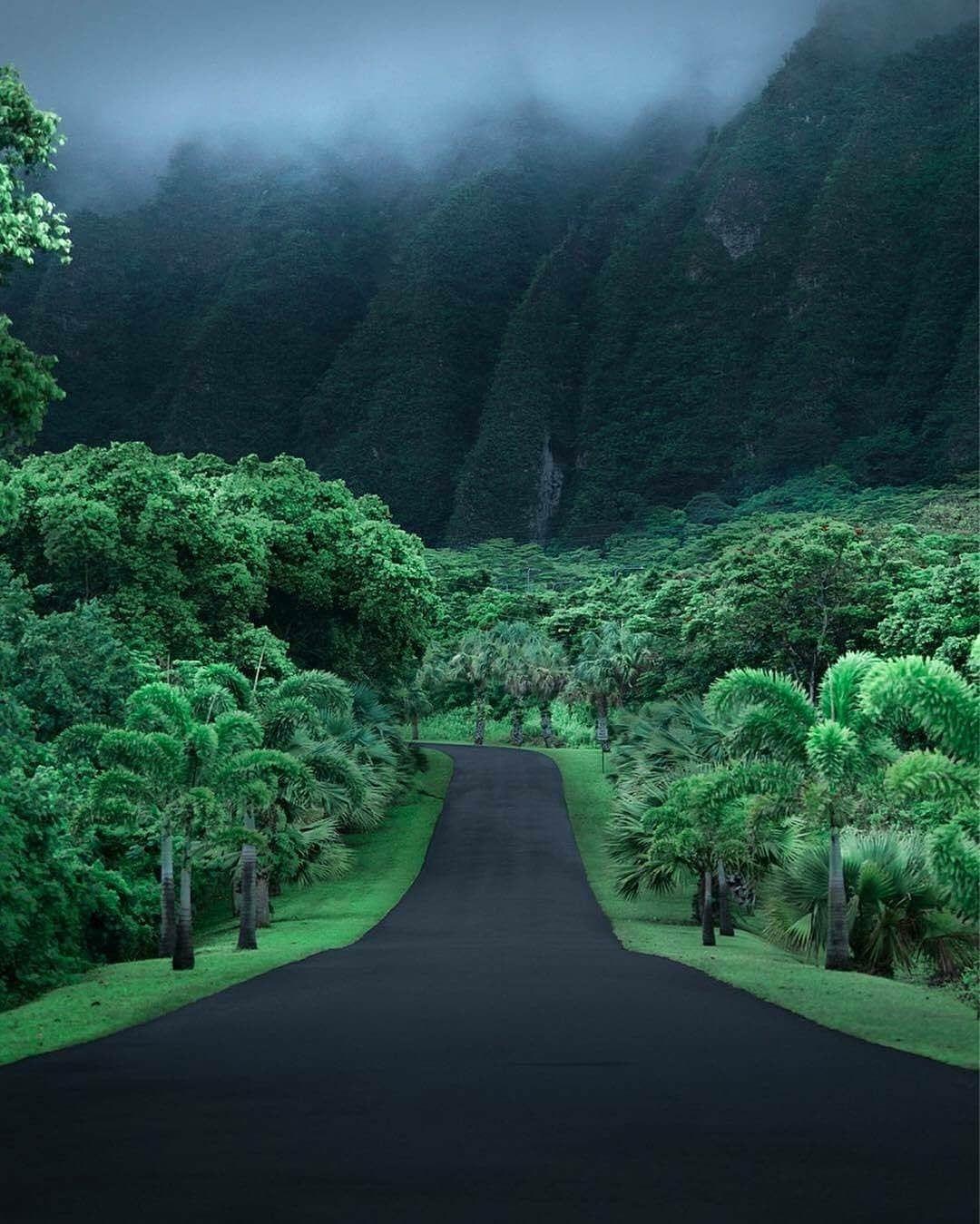 1080x1349 Empty road in Hawaii