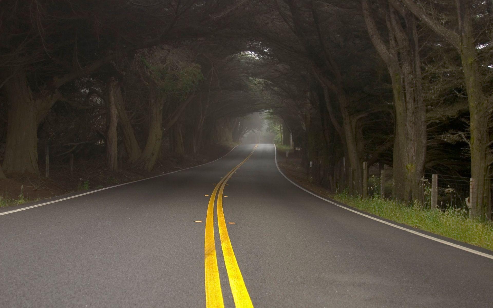 1920x1200 Empty Road Wallpaperx1200