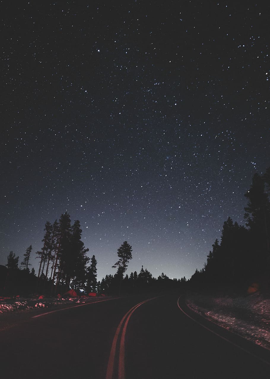 910x1274 Looking Up, Empty Road Between Trees Under Sky With Aesthetic Road Trip HD Wallpaper