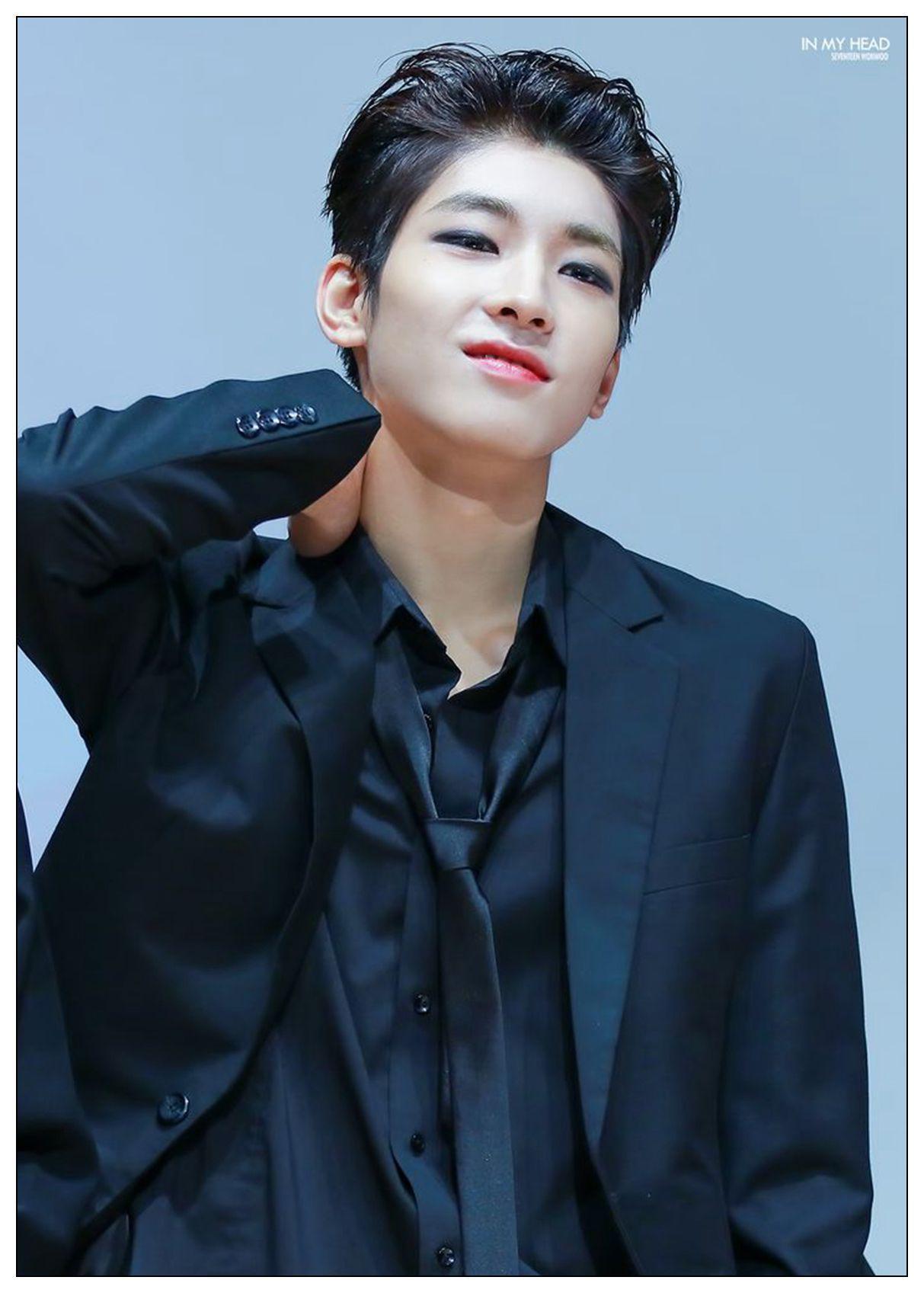 1213x1697 Seventeen WONWOO photo star Coated poster Painting Home Room Decor Wallpaper Modern Decoration. room decoration. decor wallpapermodern decor