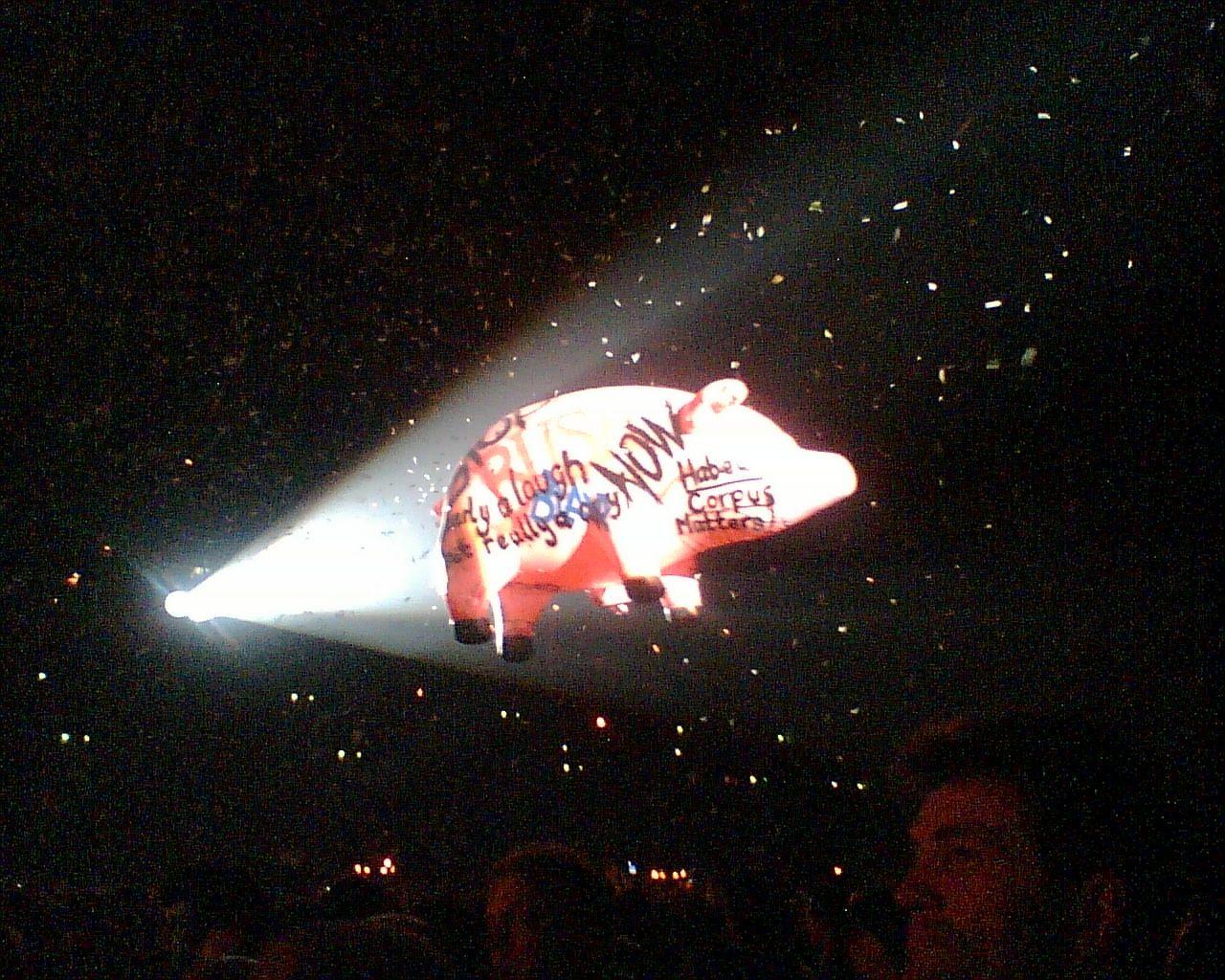 1280x1024 Pigs (Roger Waters at Gelredome, Arnhem, the Netherlands)