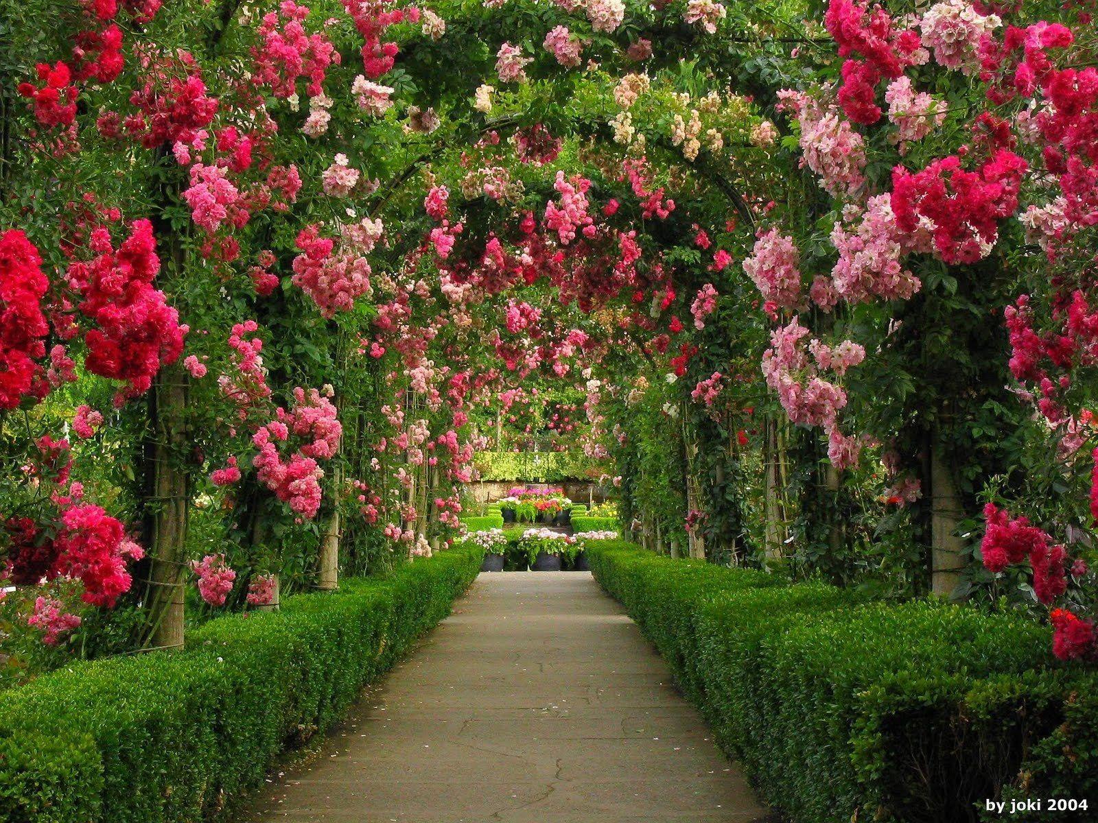 gardens of flowers