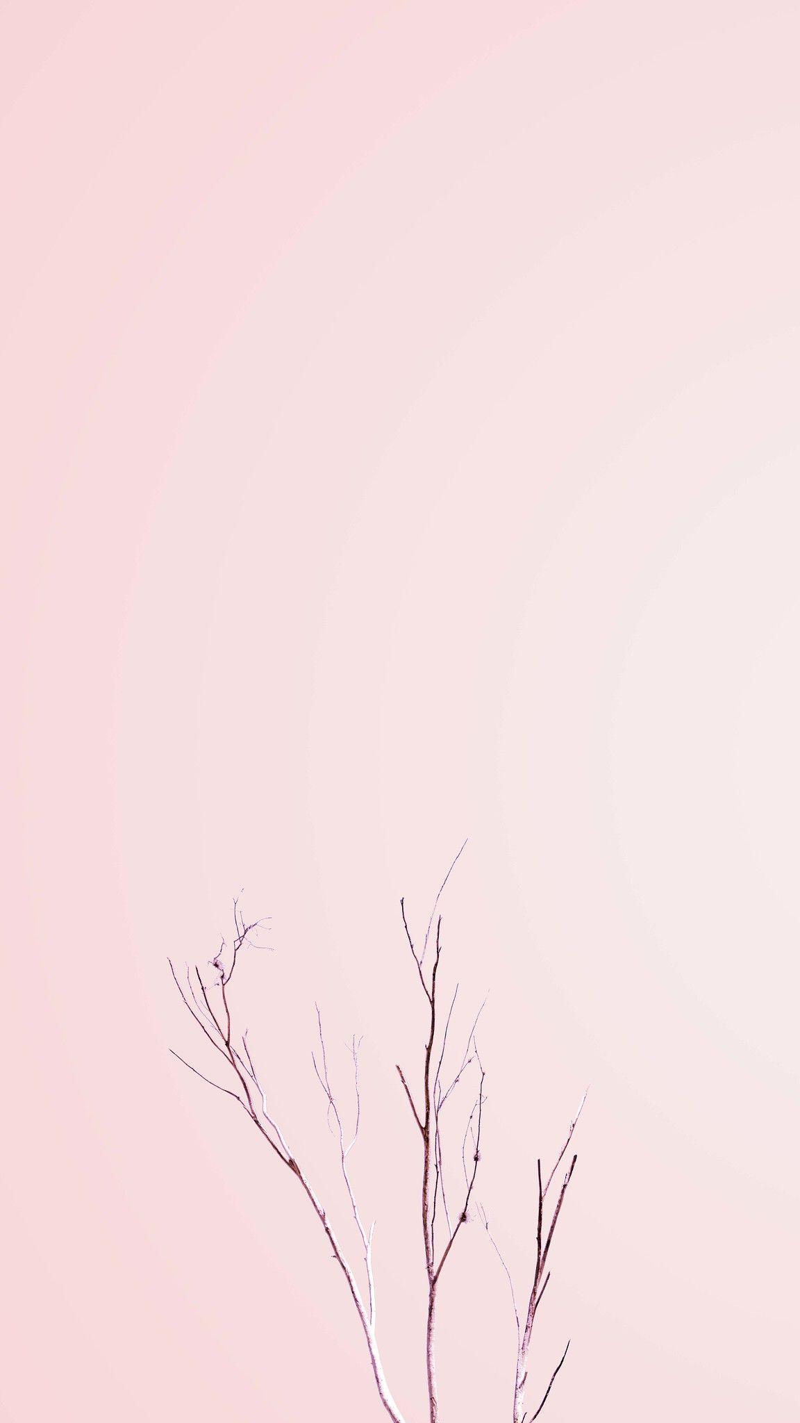 1152x2048 Swooning soul. camomila. Wallpaper, Phone