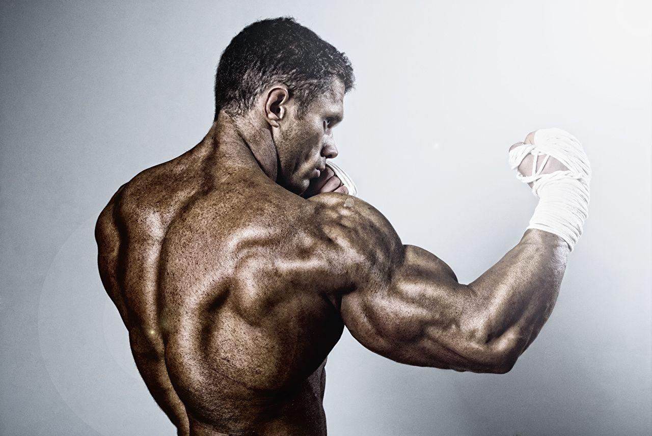 1280x856 Wallpaper Men training back muscles Human back athletic Boxing