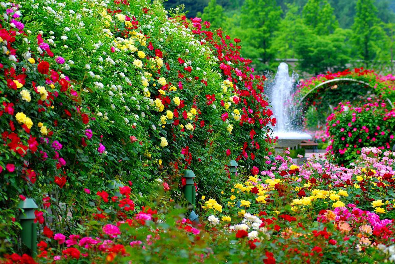 Flower Garden Wallpapers - Top Free Flower Garden Backgrounds - WallpaperAccess