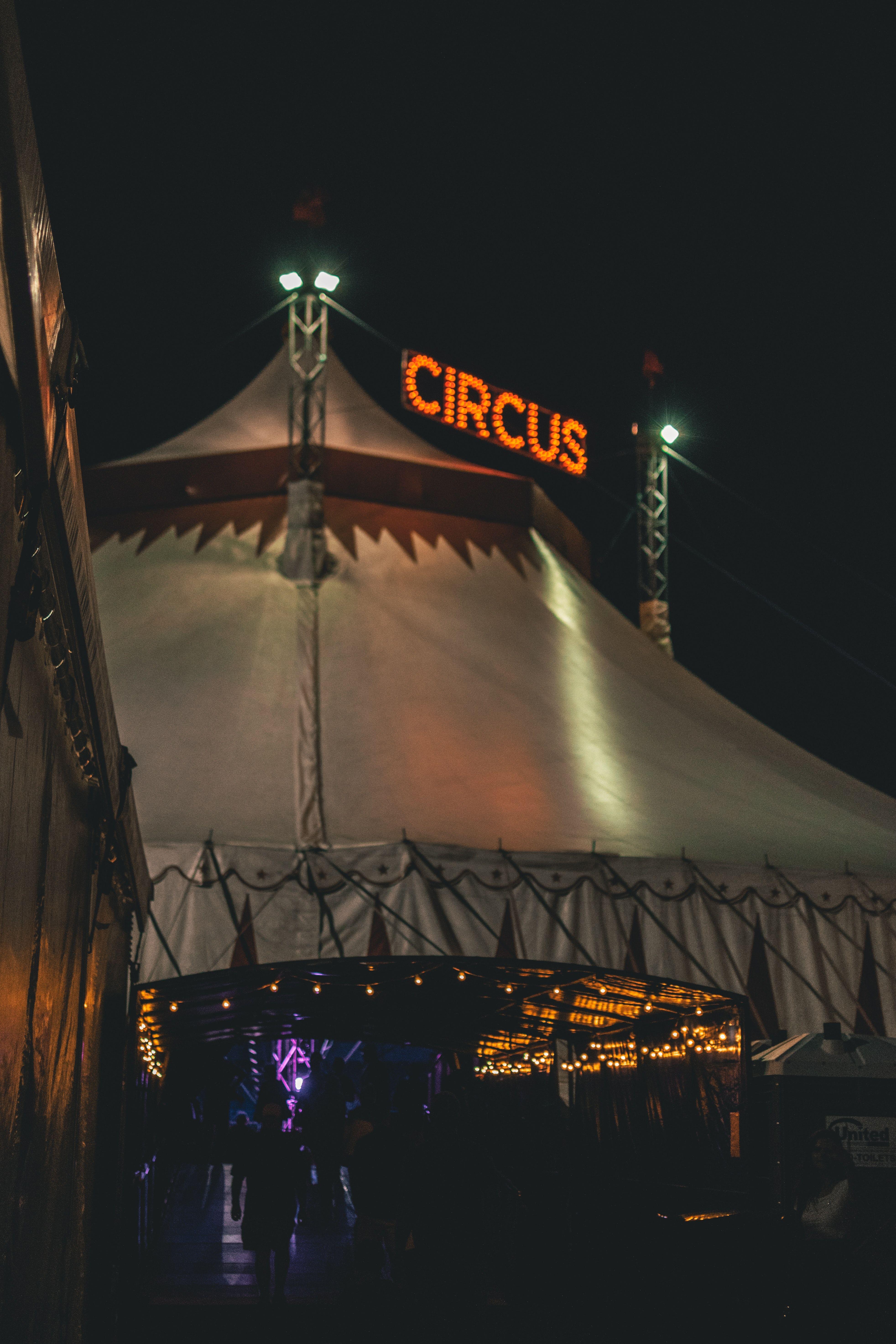 3928x5892 Gray Circus Tent during Nighttime · Free