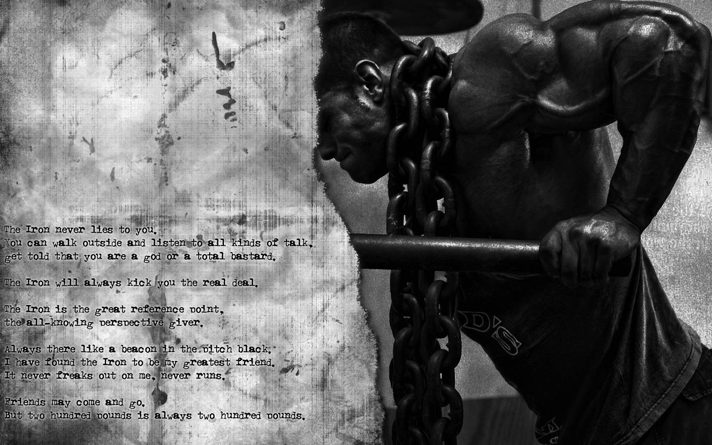 1440x900 Training Wallpaper