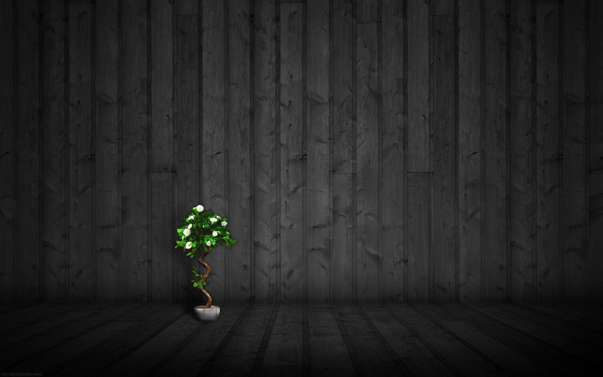 1920x1200 Black Wood Wallpaper HD