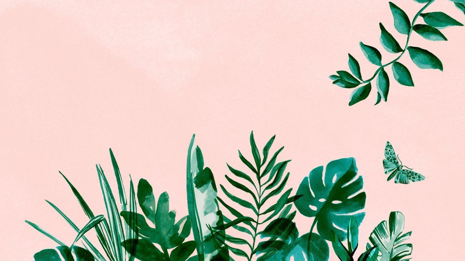 1600x900 Free download Plant Aesthetic Laptop Wallpaper Top Plant Aesthetic [1856x1161] for your Desktop, Mobile & Tablet. Explore Aesthetic Laptop Wallpaper. Aesthetic Laptop Wallpaper, White Aesthetic Laptop Wallpaper, Aesthetic Simple Laptop Wallpaper