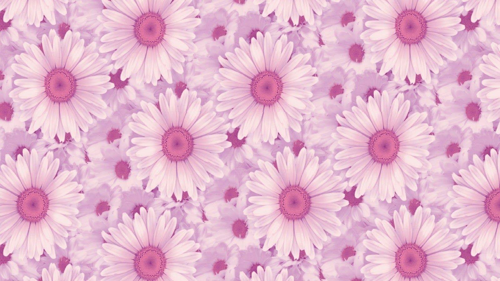 1600x900 laptop aesthetic wallpaper