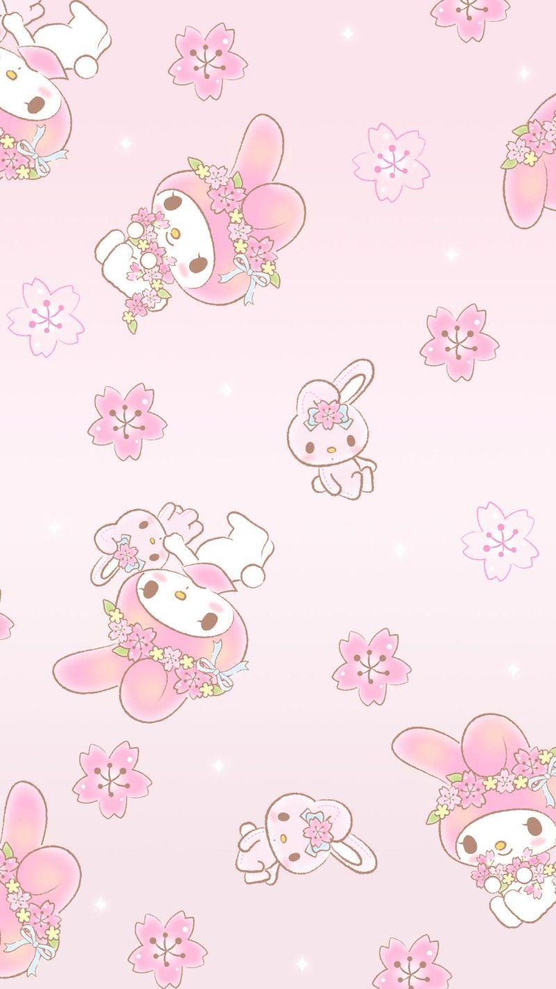 800x1422 My Melody Wallpaper
