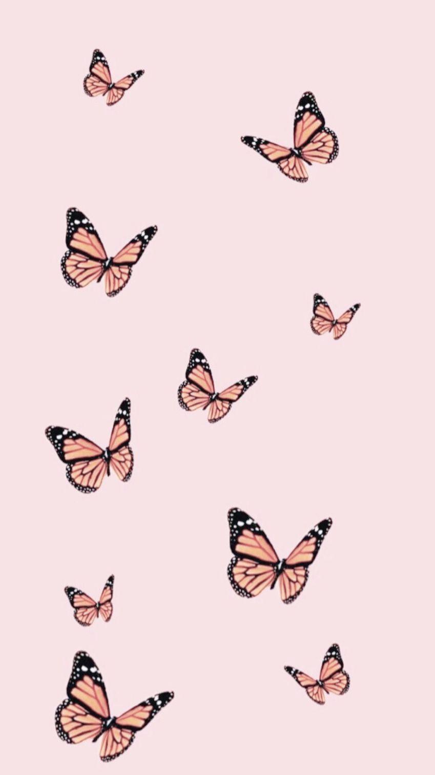 Pastel Butterfly Wallpapers - Top Free Pastel Butterfly Backgrounds -  WallpaperAccess
