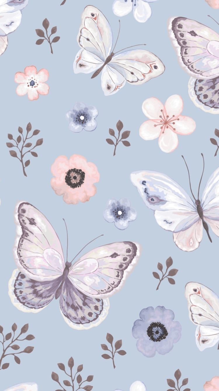 Pastel Butterfly Wallpapers Top Free Pastel Butterfly Backgrounds