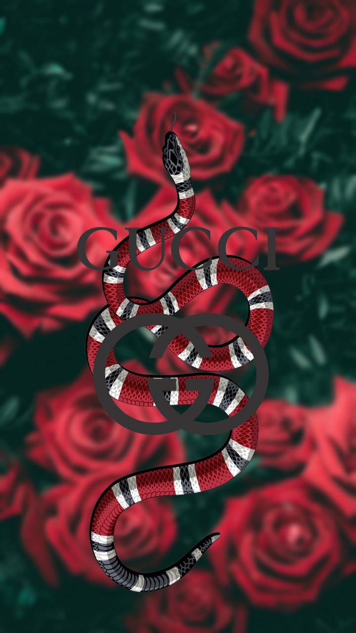 720x1280 GUCCI wallpaper