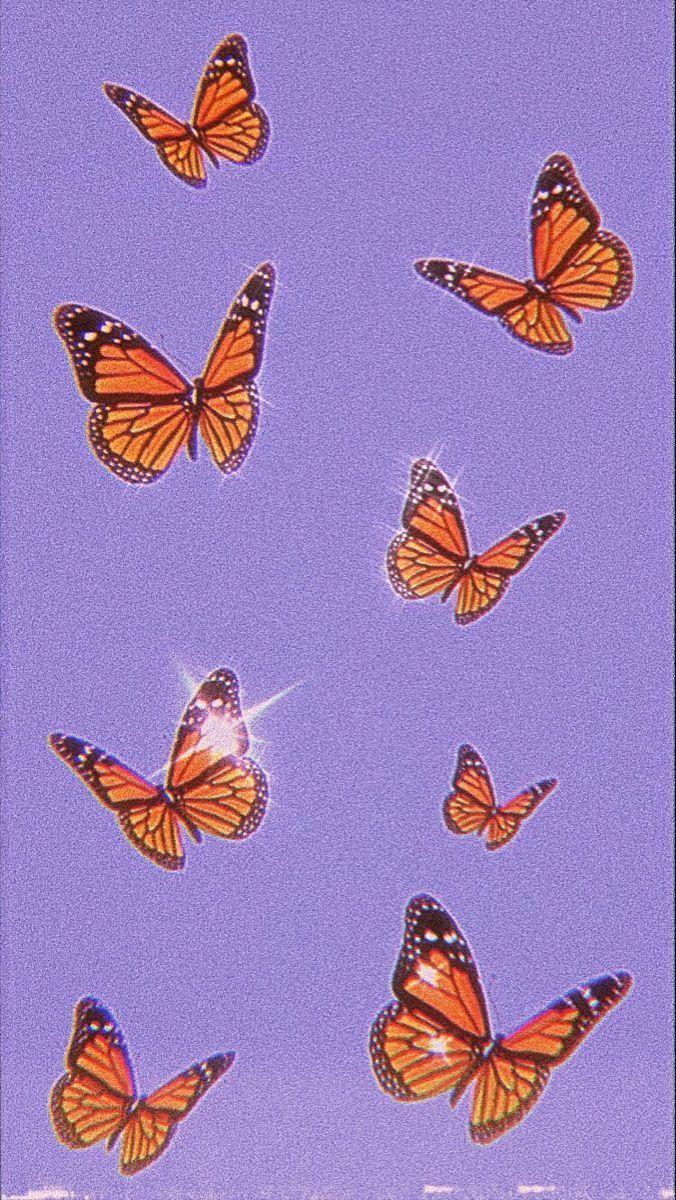 676x1200 Aesthetic butterfly wallpaper. Butterfly wallpaper iphone, Butterfly wallpaper, iPhone wallpaper vintage