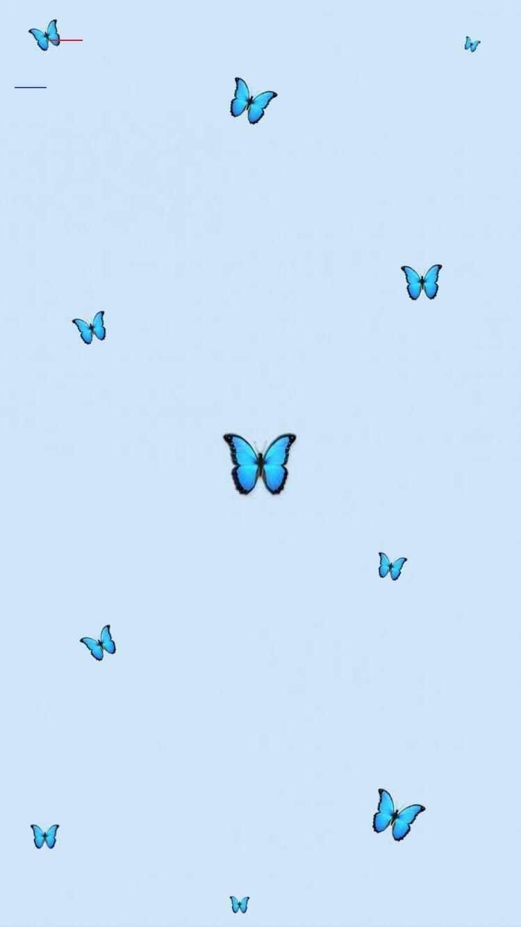 750x1334 blueaesthetic. Blue wallpaper iphone, Blue butterfly wallpaper, Butterfly wallpaper iphone