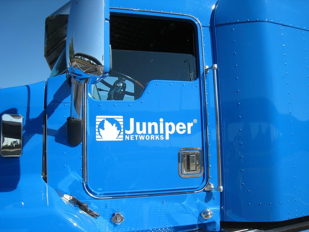 1024x768 Juniper Wallpaper. Juniper Networks Wallpaper, Juniper Bonsai Wallpaper and Juniper Bush Wallpaper