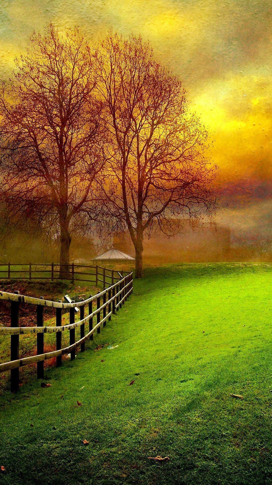 Nature Beautiful Photo Editing Background - Draw-quack