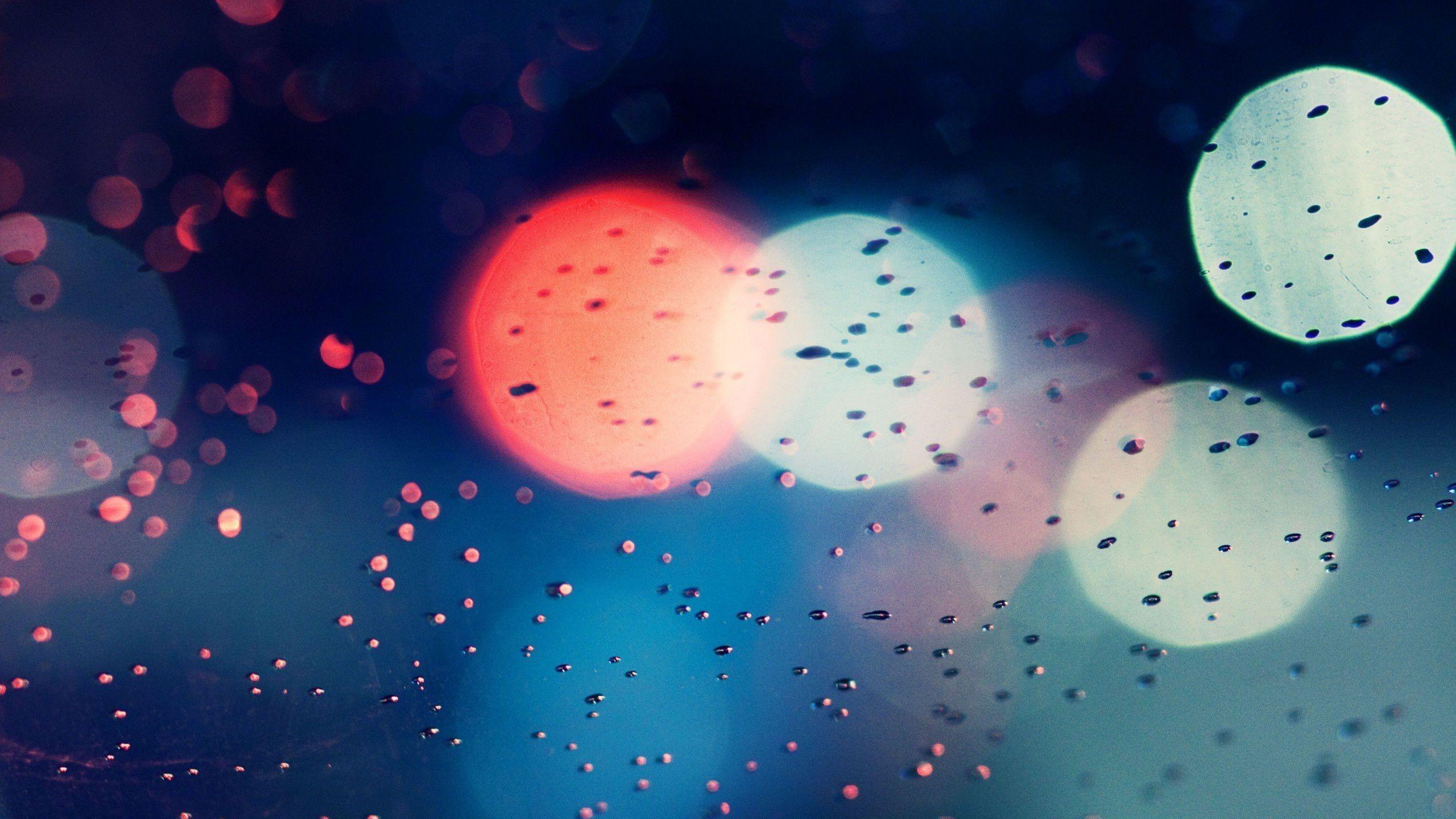 2560x1440 Bokeh Wallpaper and Photo 4K Full HD ( New Wallpaper!! )