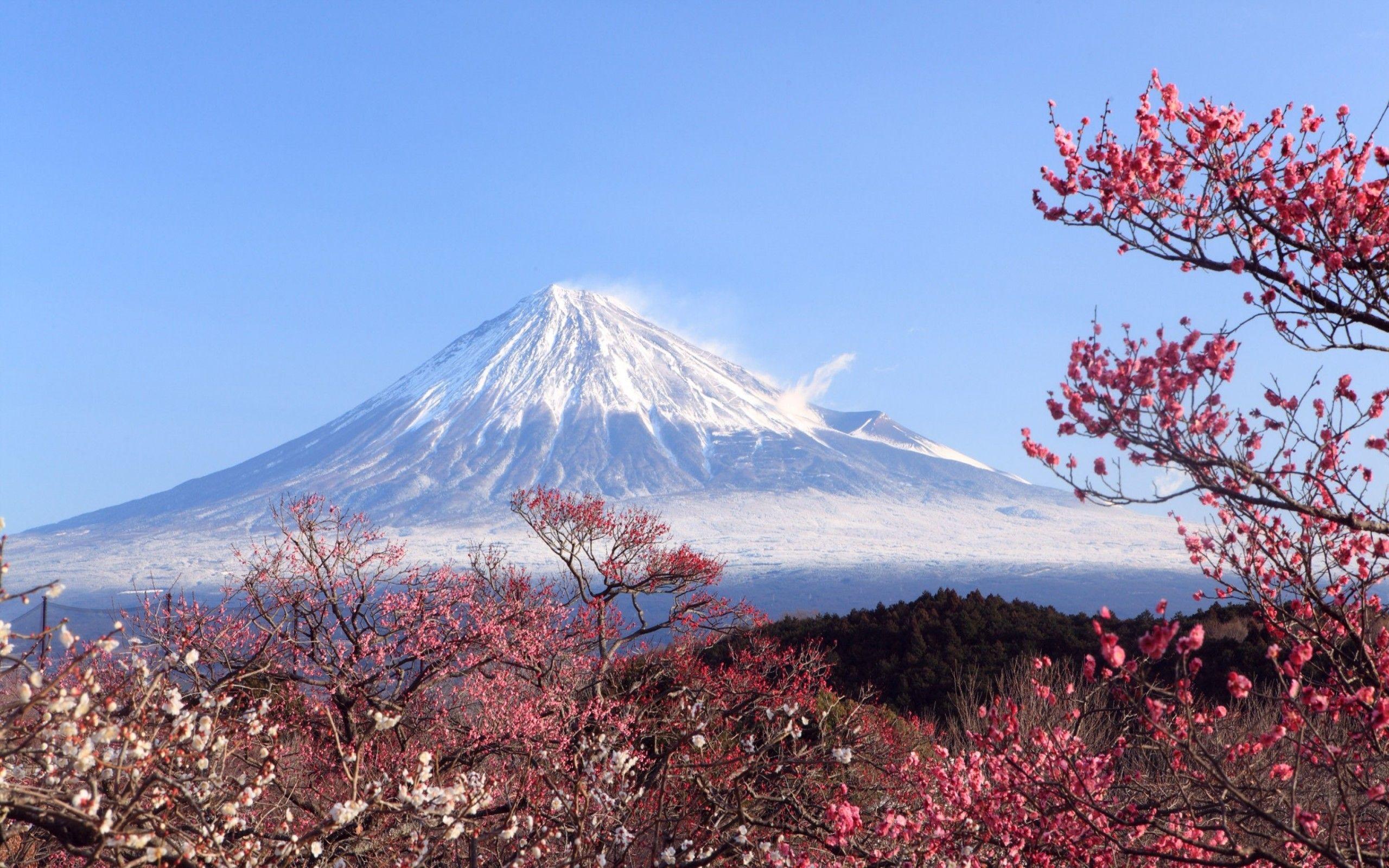 2560x1600 Mt Fuji Wallpaper