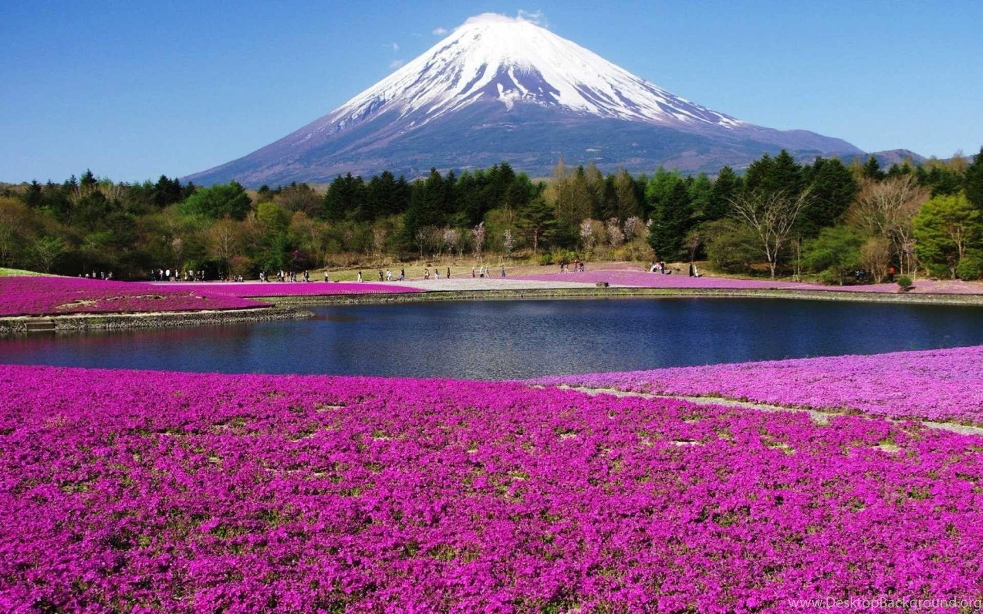 1920x1200 Fuji Mountain Wallpaper Mount Fuji HD Wallpaper Desktop Background