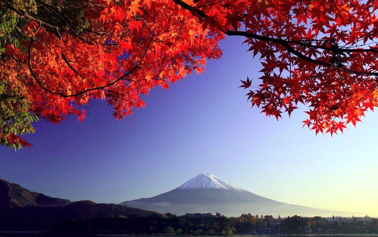1220x767 Mount Fuji Wallpaper HD HD Wallpaper