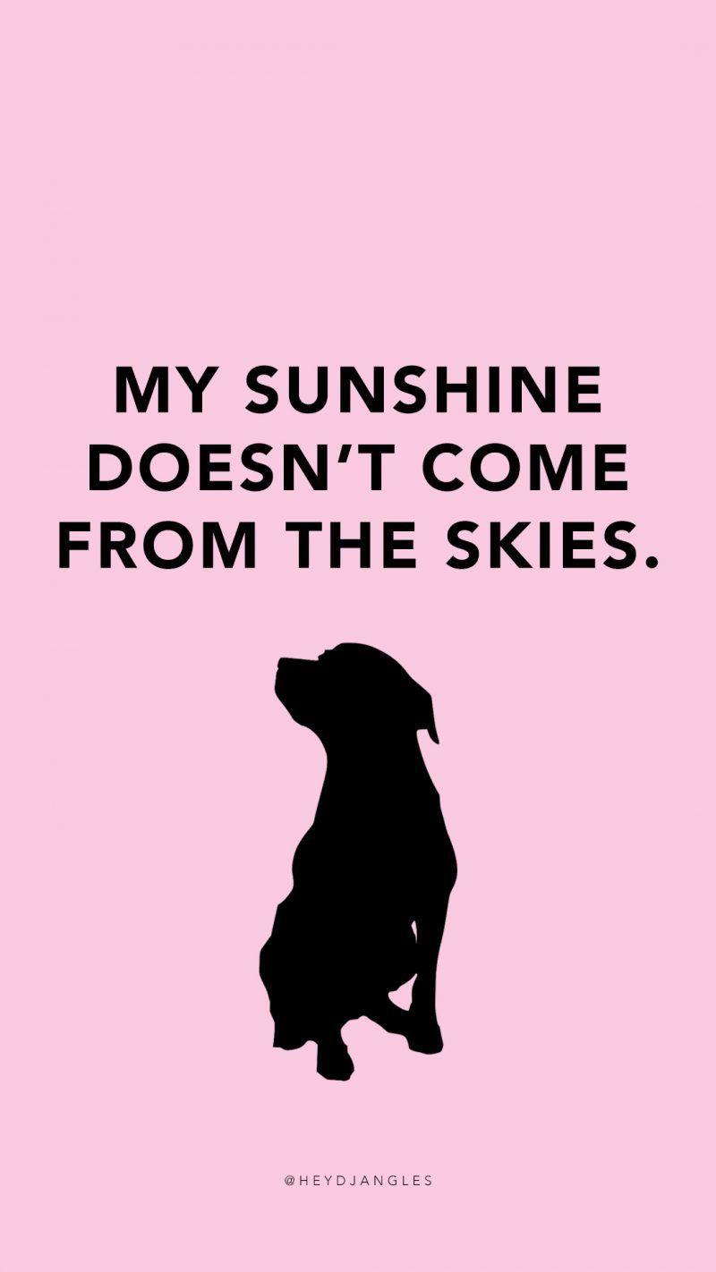 800x1422 Free HD Dog Quote Wallpaper & Background Check out our free HD dog quote wallpaper for mobile right here desi. Dog quotes, Puppy quotes, Dog quotes funny