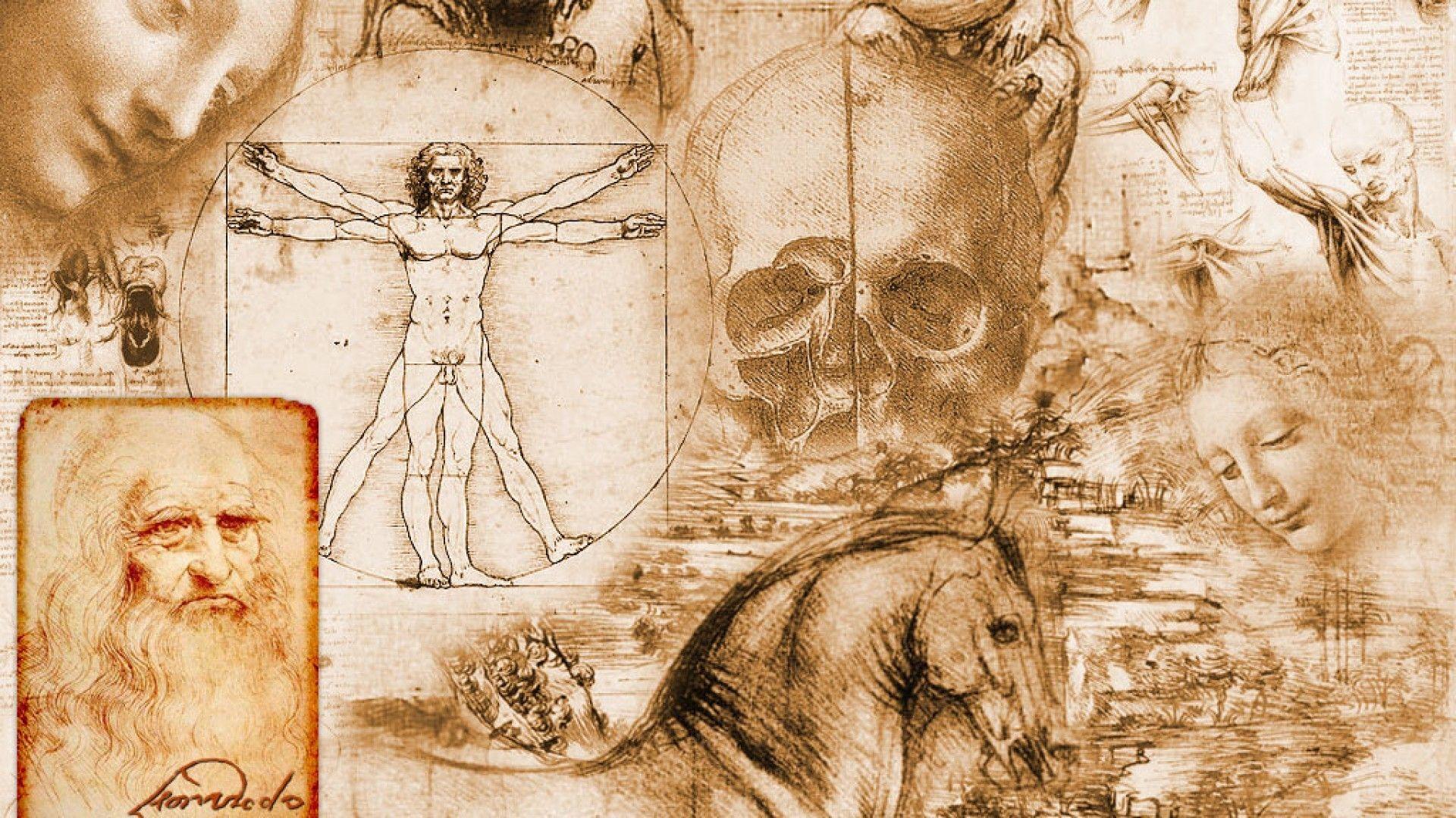 1920x1080 Anatomy Wallpaper HD