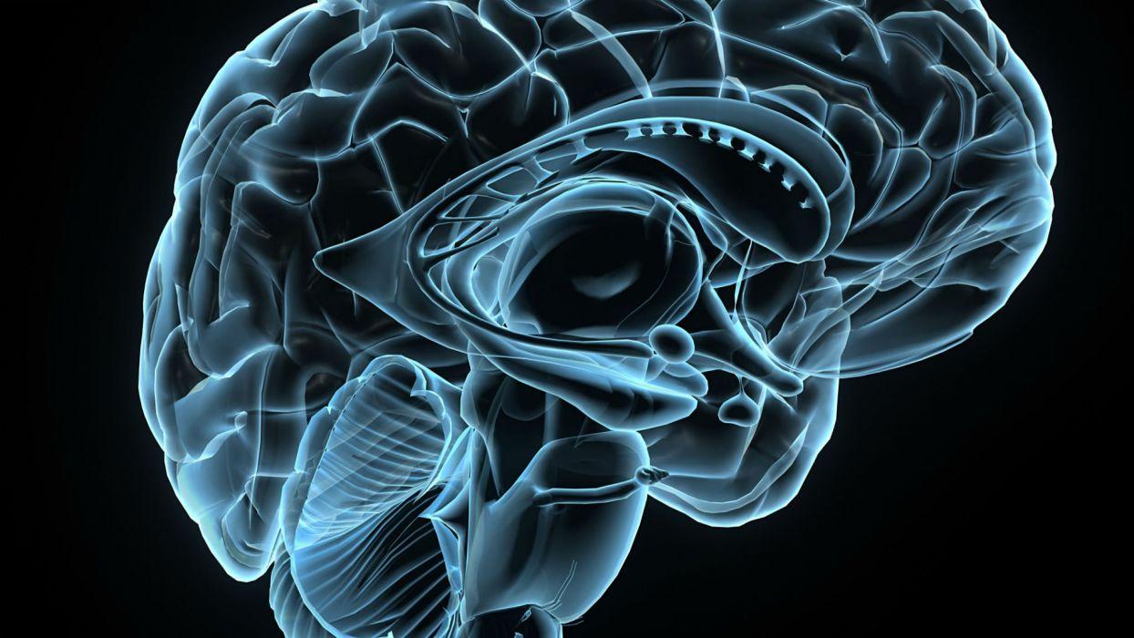 1244x700 Brain Anatomy Medical Head Skull Digital 3 D X Ray Xray Psychedelic Wallpaperx1080