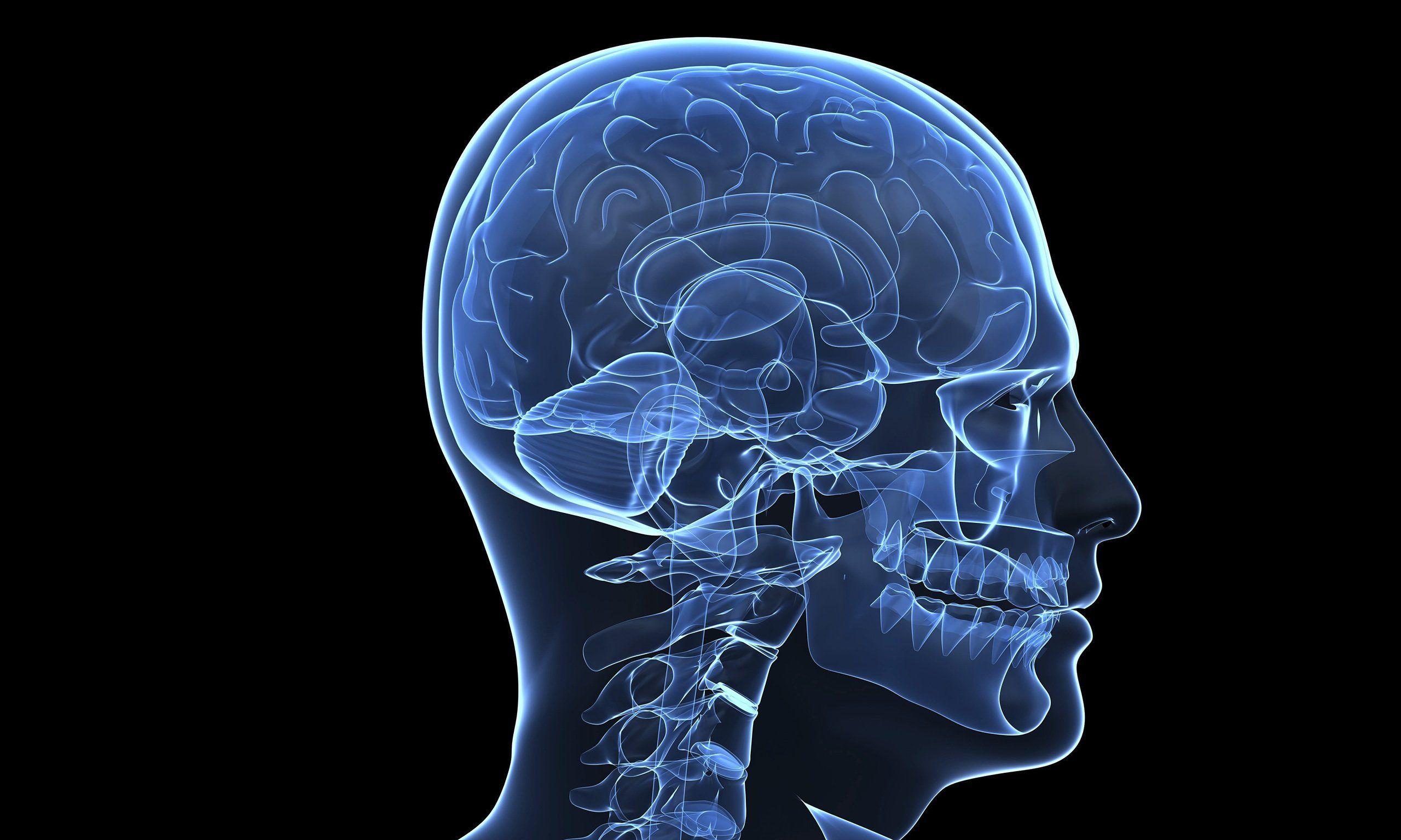 2560x1536 Brain Anatomy Medical Head Skull Digital 3 D X Ray Xray Psychedelic Wallpaperx1536