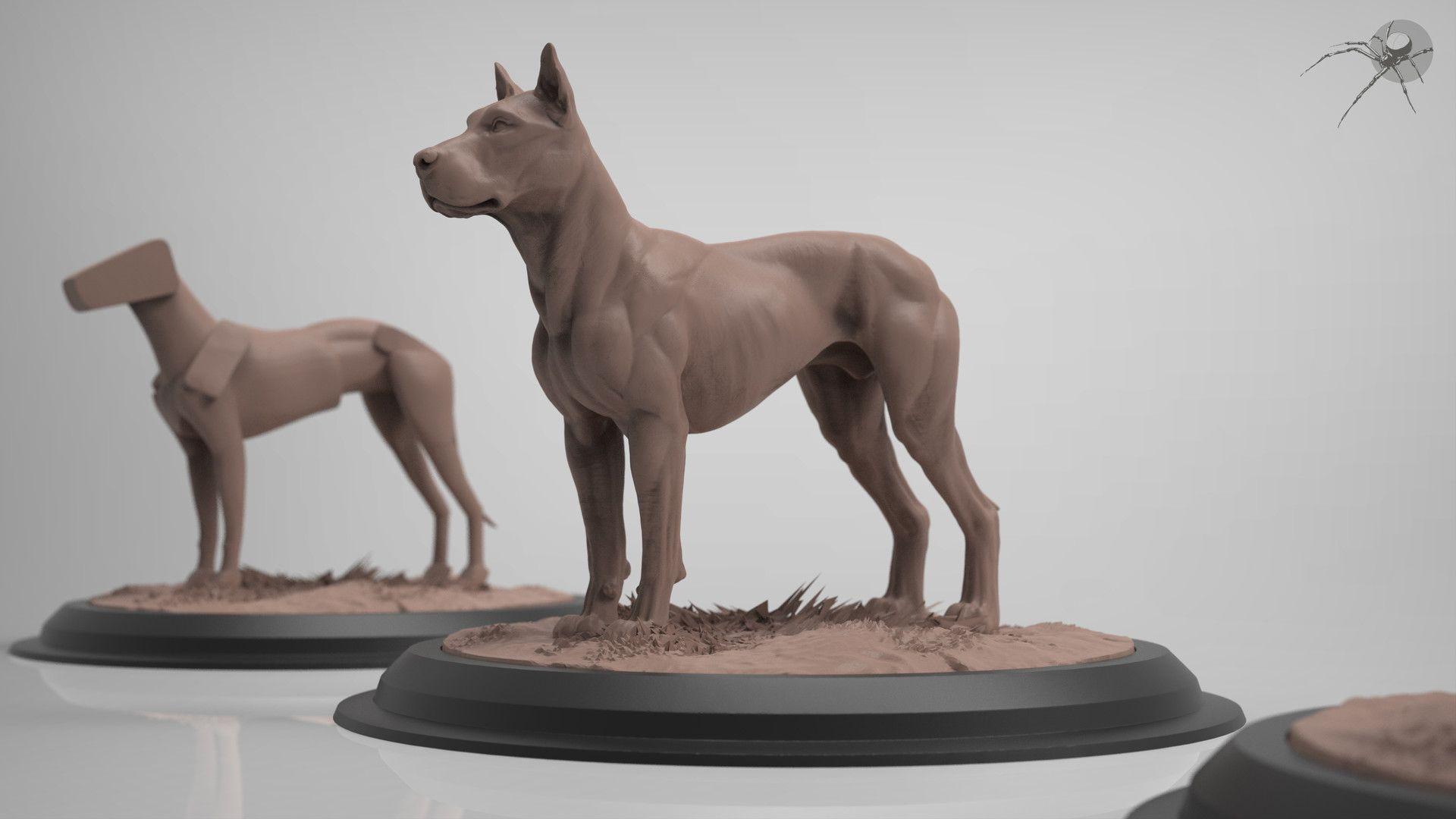 1920x1080 Canine Anatomy (Dog), Marcus Trolldenier