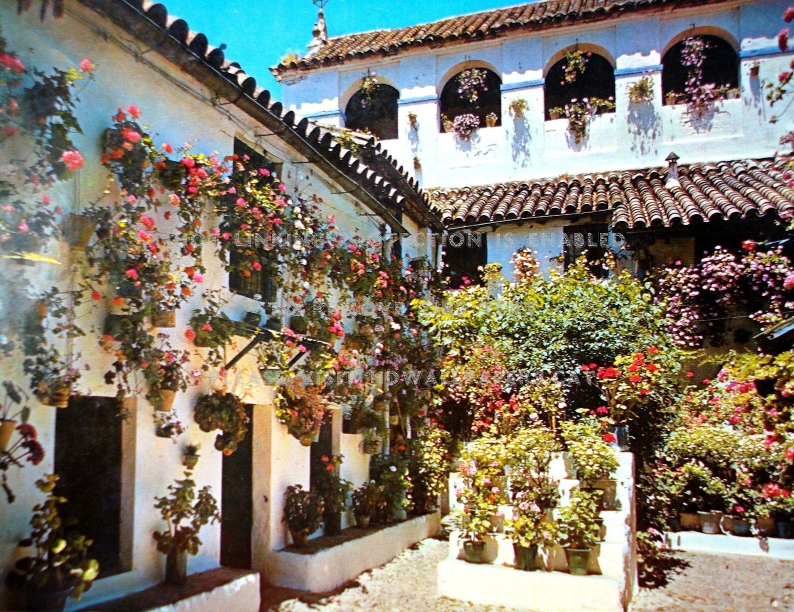 1588x1224 cordoba spain patio pots wall flowers