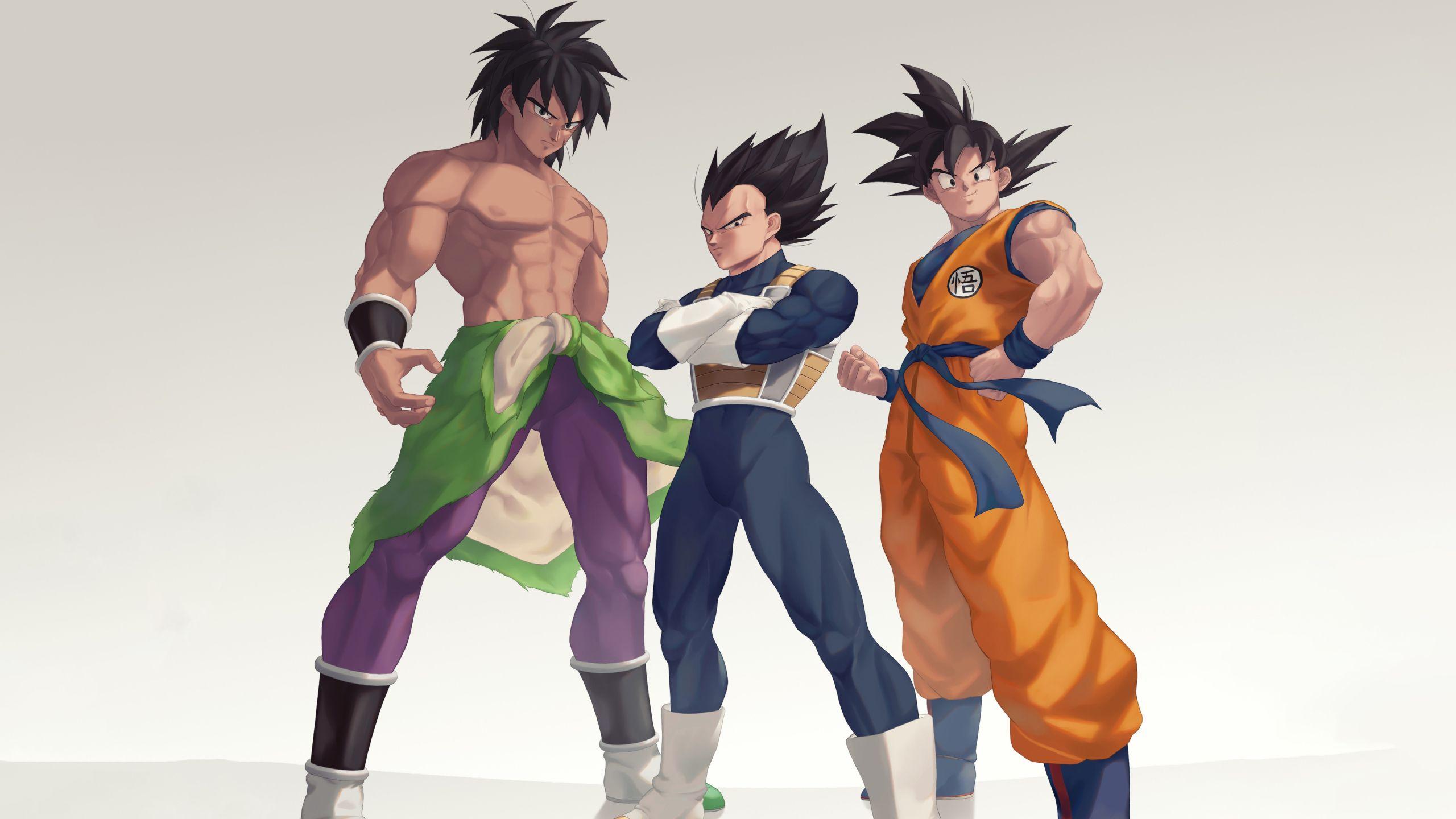 2560x1440 Broly Goku and Vegeta 1440P Resolution Wallpaper, HD Anime 4K Wallpaper, Image, Photo and Background