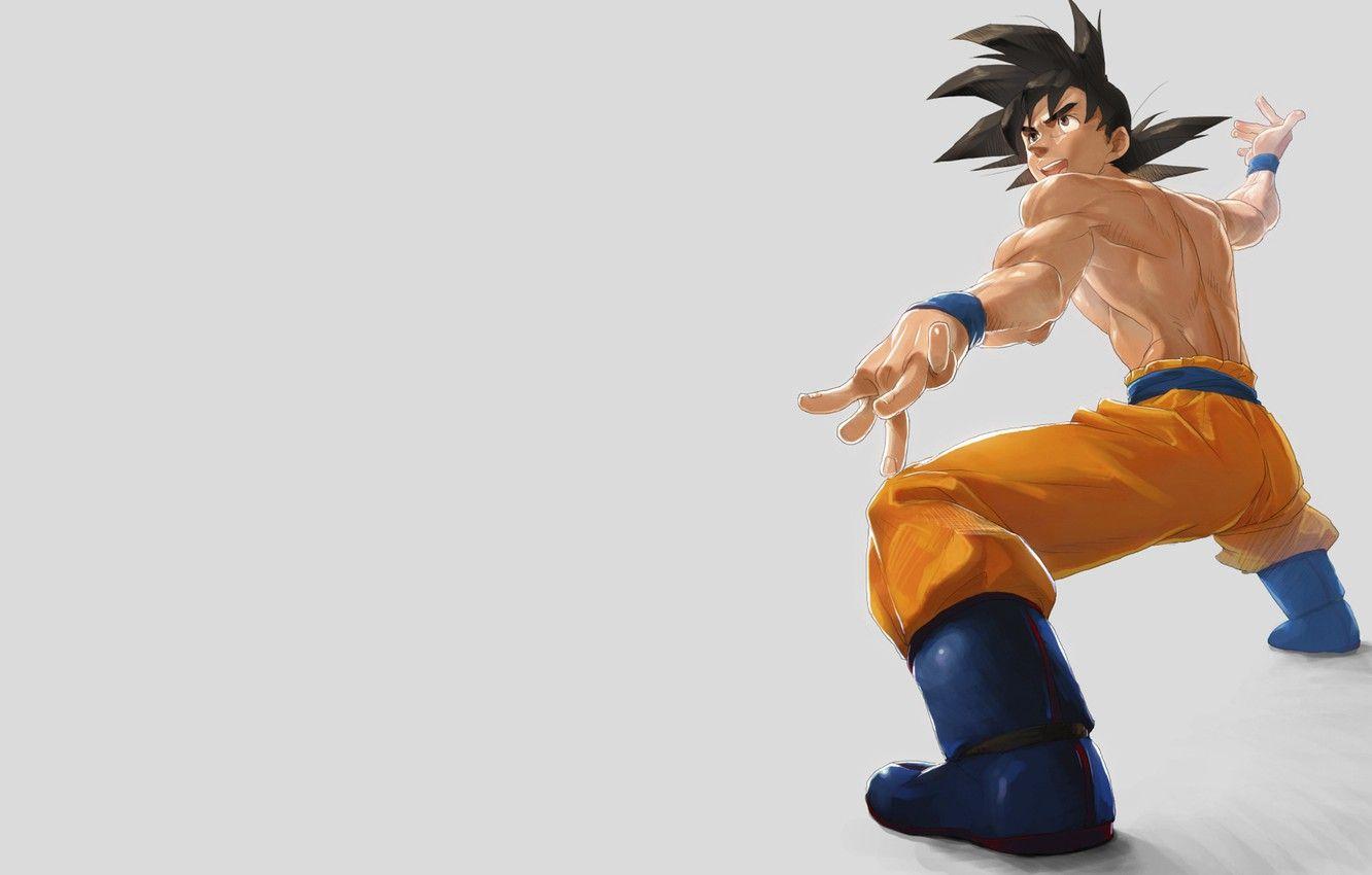 1332x850 Wallpaper minimalism, grey background, dragon ball, dragon, son Goku, dragon ball, dragonball image for desktop, section прочее