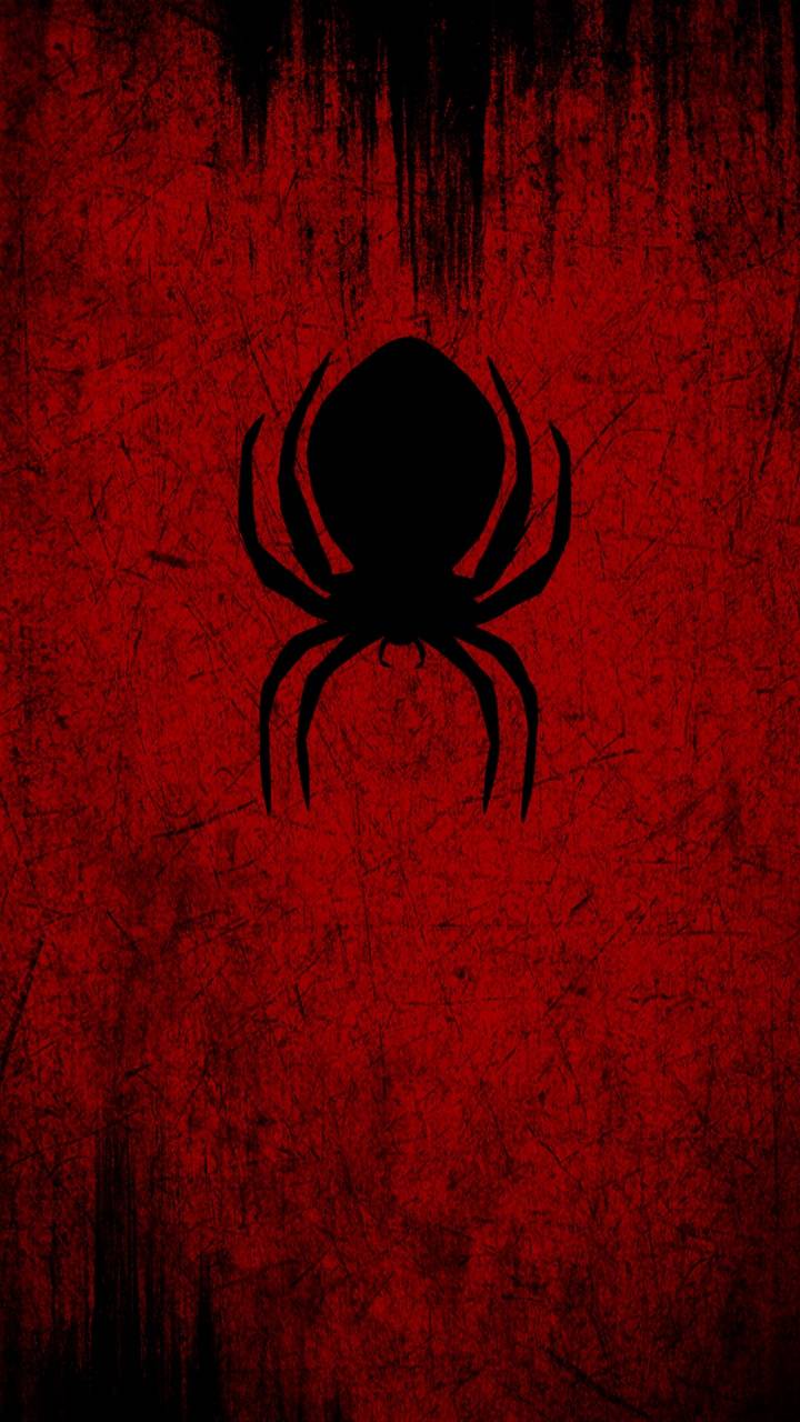 720x1280 Black spider wallpaper