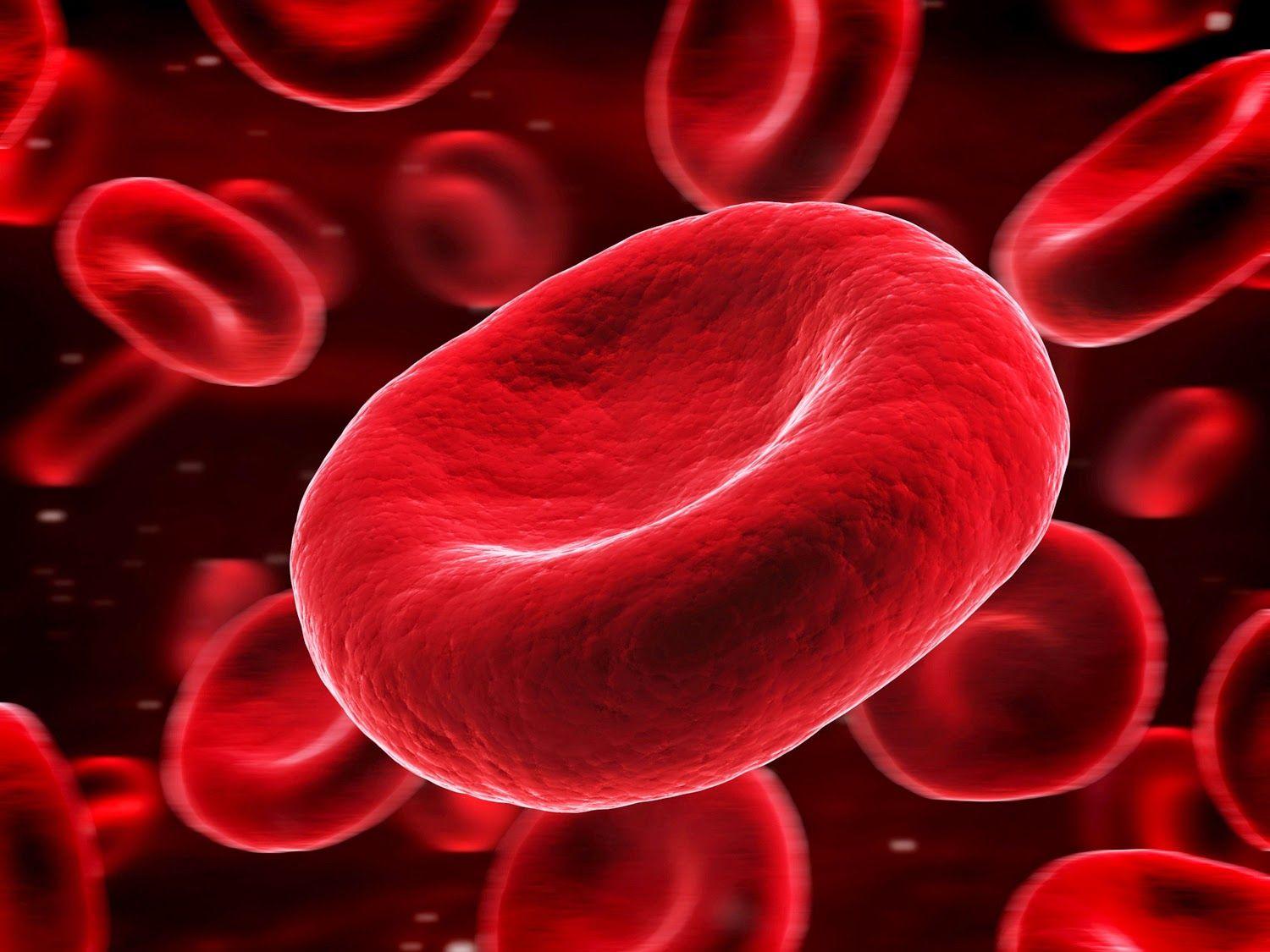 Blood Cells Wallpapers - Top Free Blood Cells Backgrounds - WallpaperAccess