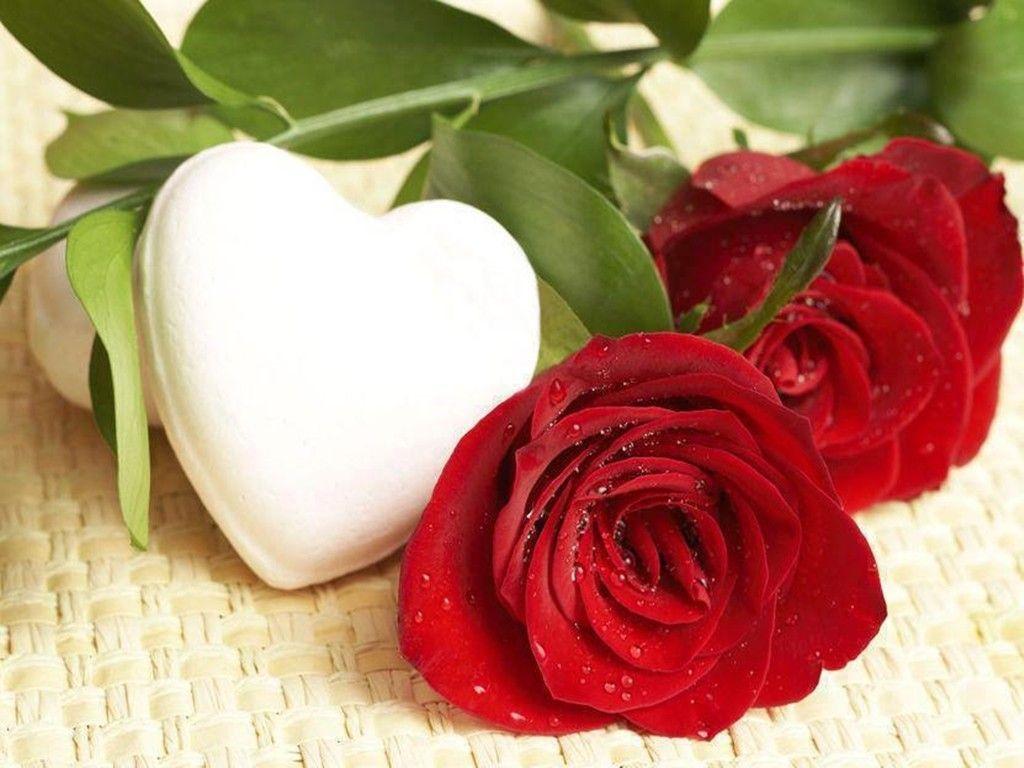 Romantic Love Flowers Wallpapers - Top Free Romantic Love Flowers ...