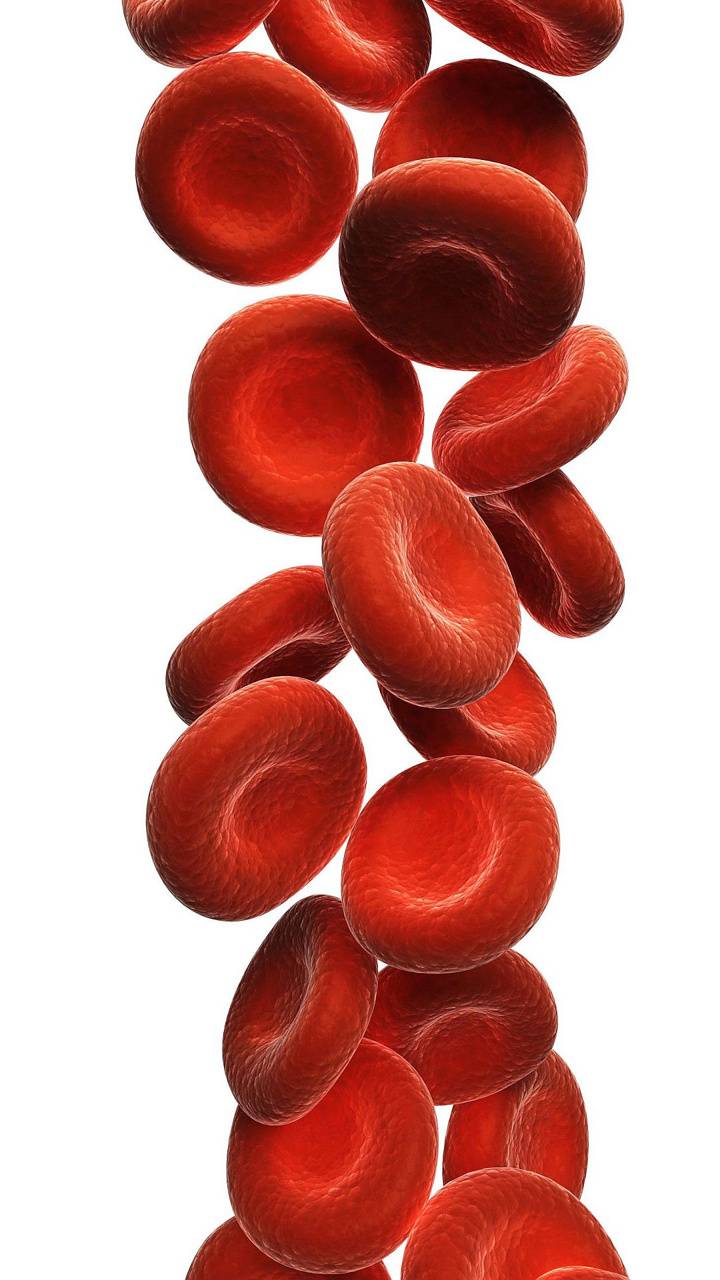 720x1280 Blood Cells wallpaper