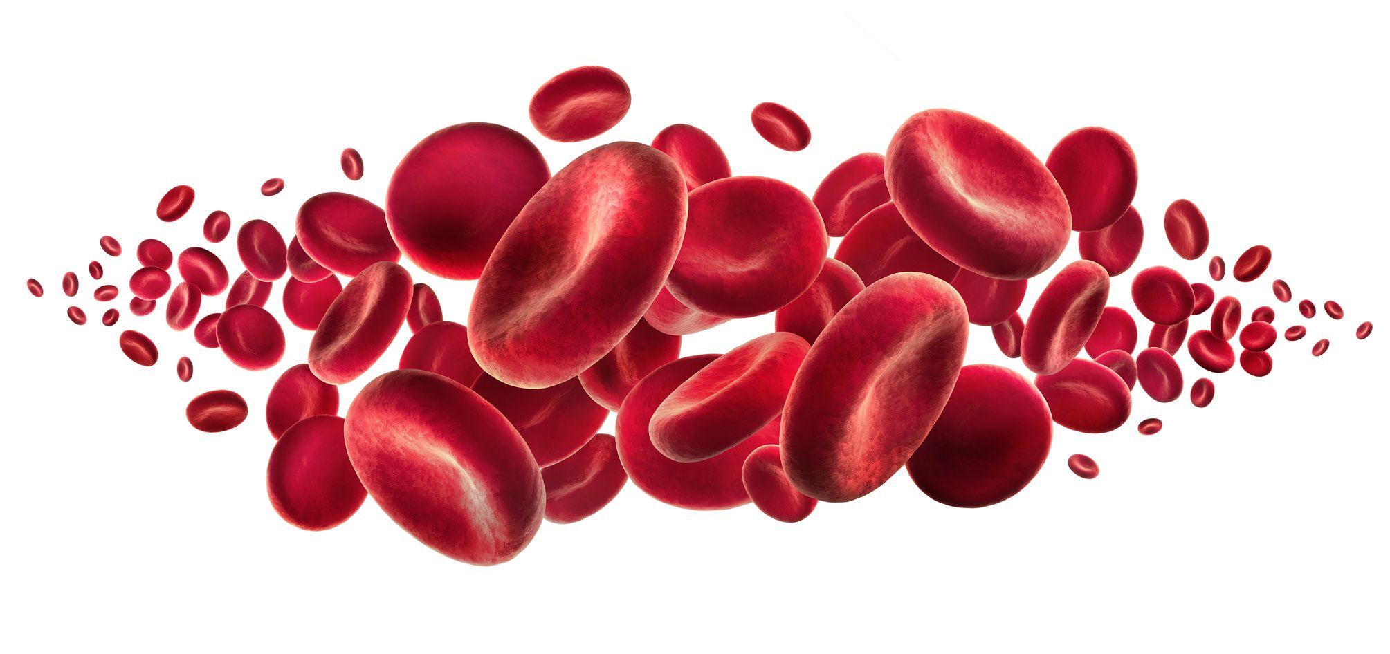 2009x946 2009x946px Red Blood Cells (442.28 KB).06.2015