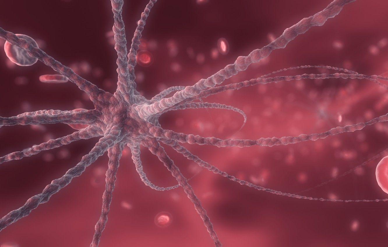 1332x850 Wallpaper blood, cells, bloodcells image for desktop, section рендеринг