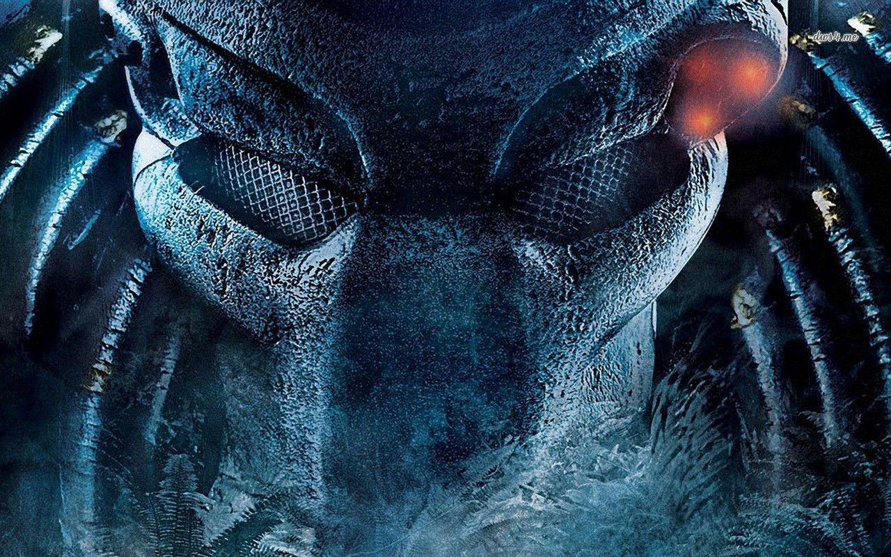 1280x800 Predator wallpaper wallpaper