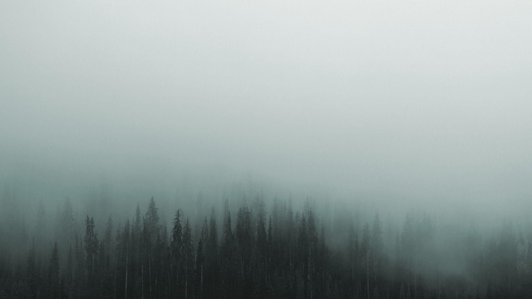 2048x1152 Gloomy Mist 2048x1152 Resolution Wallpaper, HD Nature 4K Wallpaper, Image, Photo and Background