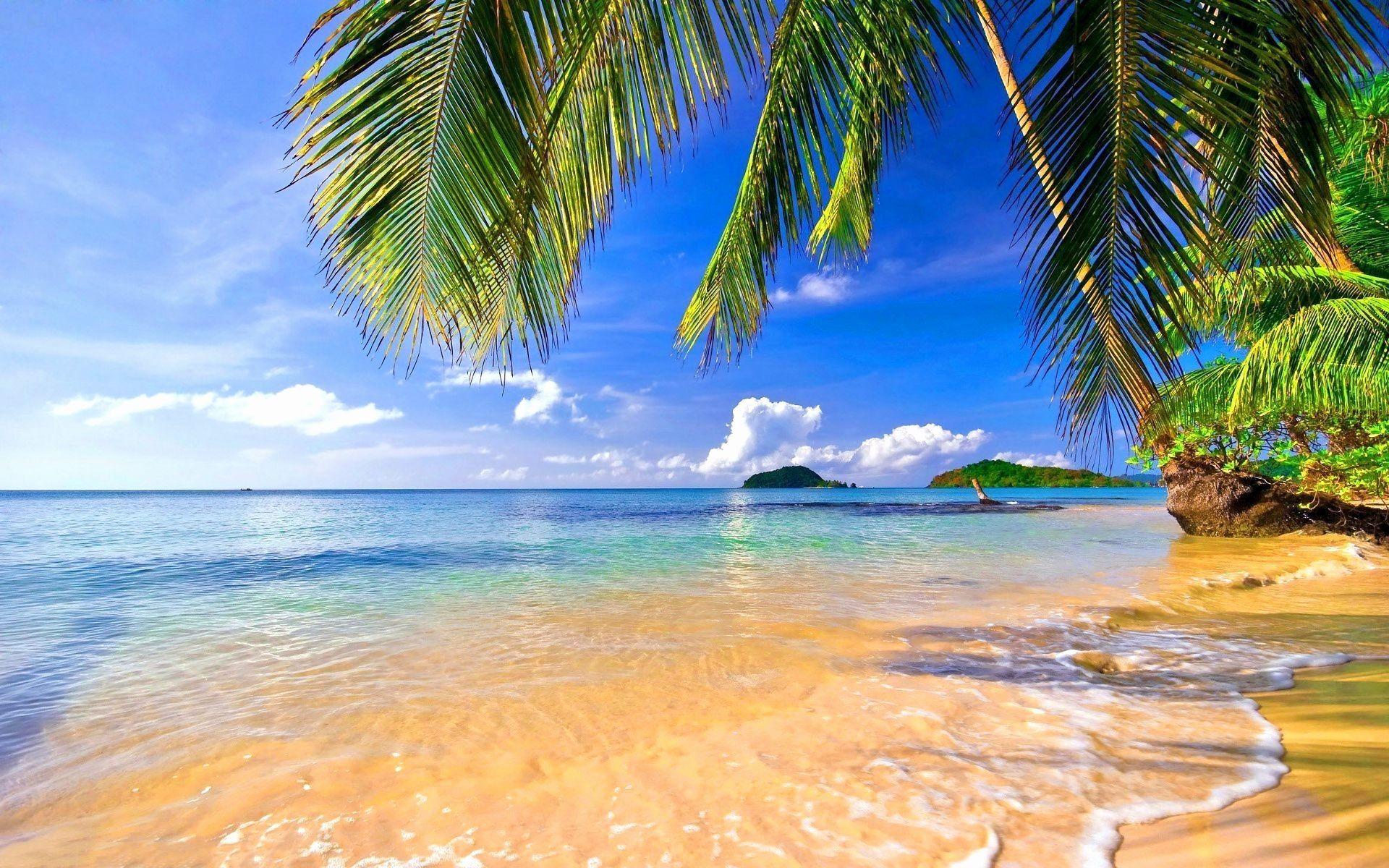 1920x1200 Tropical Wallpaper HD Inspirational Shore Palms Tropical Beach 4k HD Desktop Wallpaper for 4k Ultra HD Tv • Tablet • Smartphone This Month of The Hudson