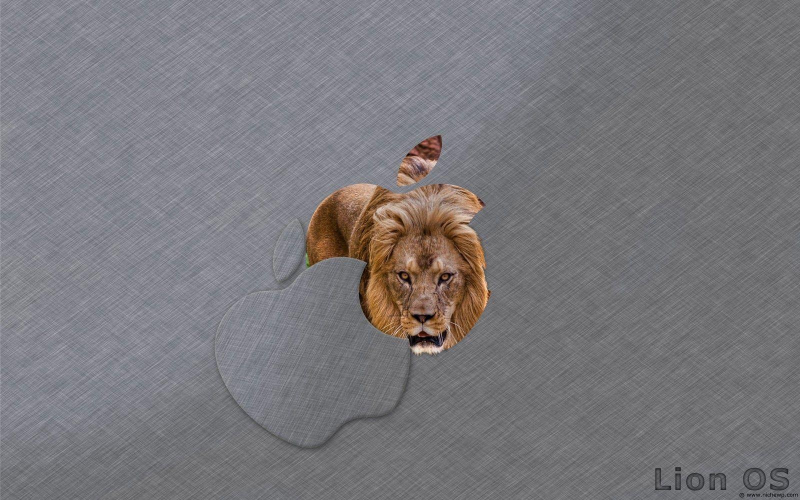 1600x1000 Google Image Search: Lion wallpaper apple