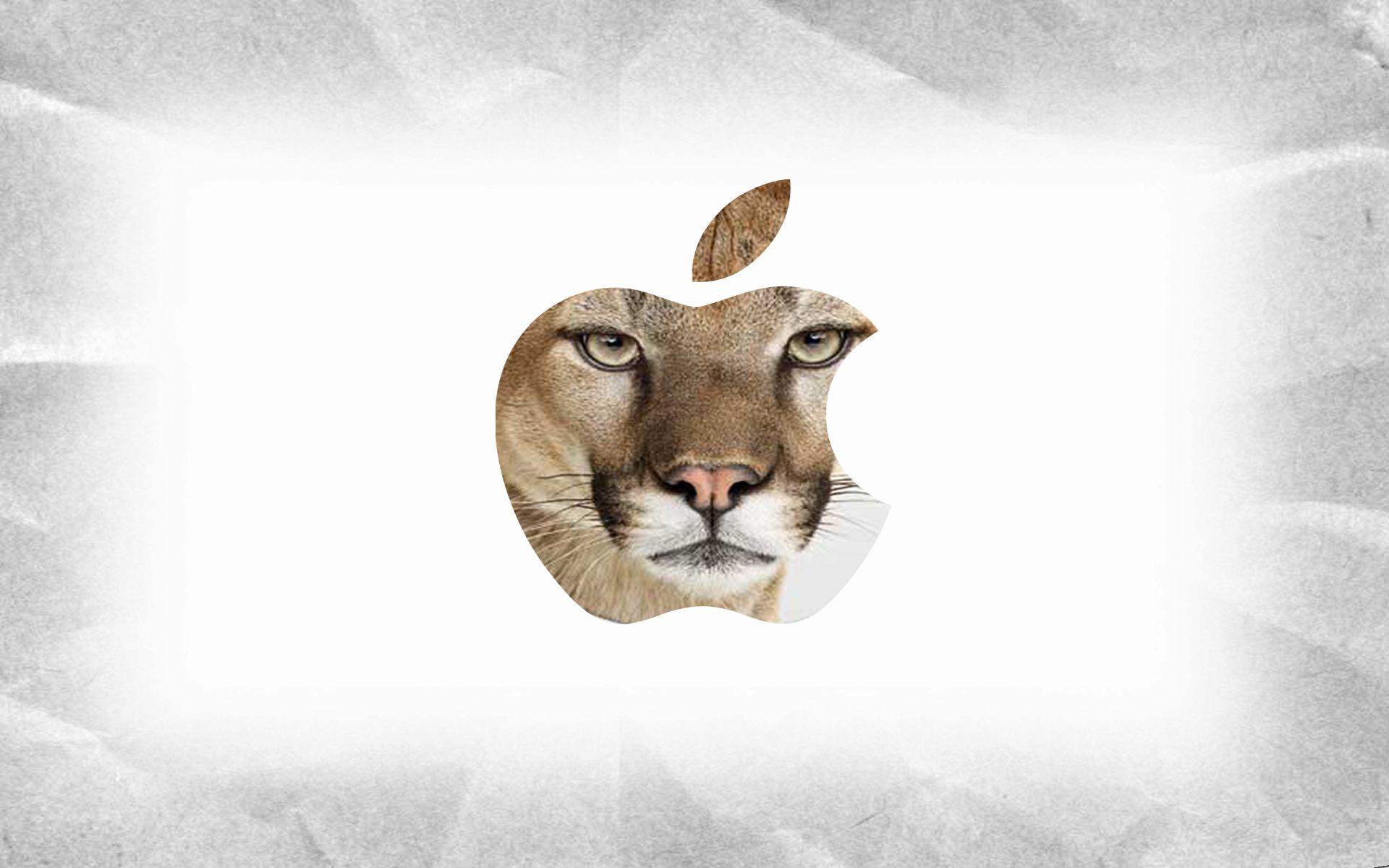 Apple Lion Wallpapers Top Free Apple Lion Backgrounds WallpaperAccess