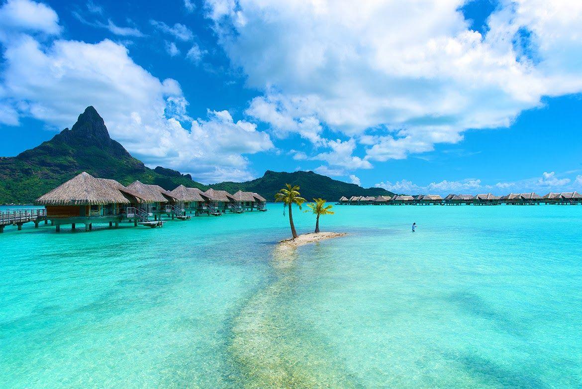 1170x781 Free download tahiti beach wallpaper weddingdressincom [1170x781] for your Desktop, Mobile & Tablet. Explore Tahiti Beach Wallpaper. Bora Bora Wallpaper Tahiti, Bora Bora Wallpaper, Tahiti Wallpaper Background