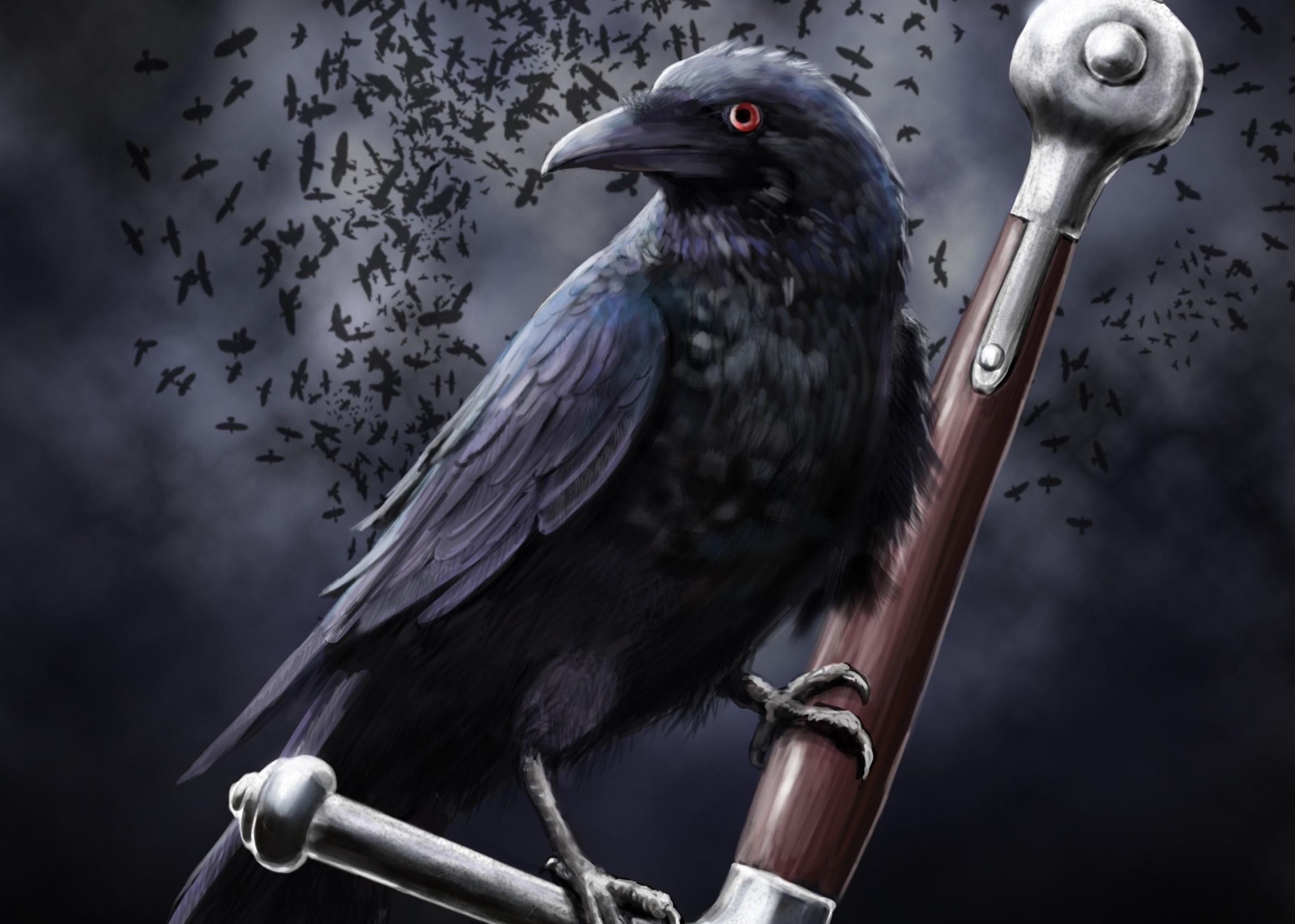 Anime Crow Bird