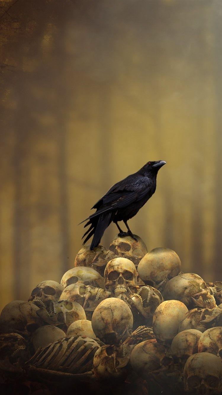 750x1334 Crow, Skulls 750x1334 IPhone 8 7 6 6S Wallpaper, Background, Picture, Image